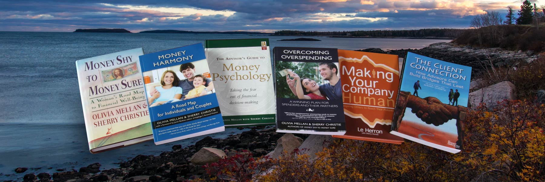 Photo of books with coastal background